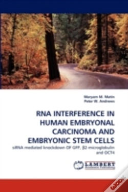 Capa do artigo Rna Interference In Human Embryonal Carcinoma And Embryonic Stem Cells