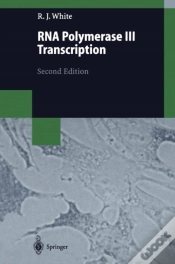 Capa do artigo Rna Polymerase Iii Transcription