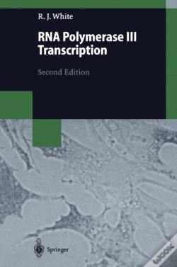 Capa do artigo Rna Polymerase Iii Transcription
