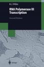 Rna Polymerase Iii Transcription - Preview