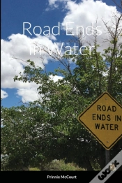 Capa do artigo Road Ends In Water