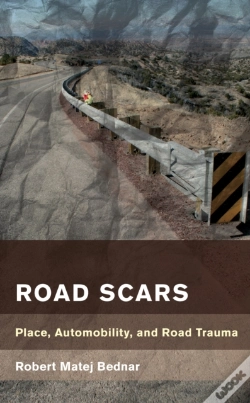 Capa do artigo Road Scars