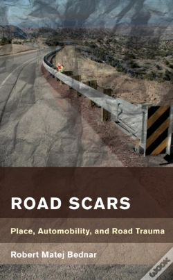 Capa do artigo Road Scars