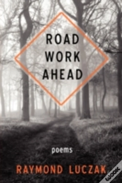Capa do artigo Road Work Ahead