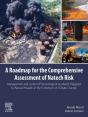 Roadmap For The Comprehensive Assessment Of Natech Risk - Preview