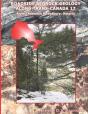 Roadside Bedrock Geology Along Trans-Canada 17 - Preview