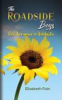 Roadside Boys - Preview