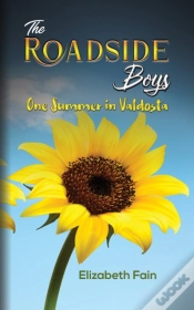 Capa do artigo Roadside Boys