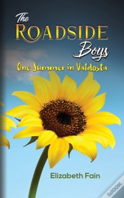 Capa do artigo Roadside Boys