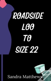 Capa do artigo Roadside Loo To Size 22