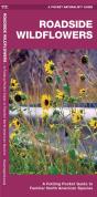 Roadside Wildflowers - Preview