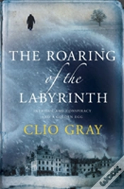 Capa do artigo Roaring Of The Labyrinth