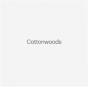 Robert Adams: Cottonwoods - Preview