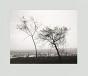 Robert Adams: Los Angeles Spring - Preview