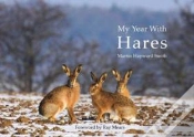 Capa do artigo Robert Gillmor