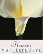 Robert Mapplethorpe Flowers (Hardback) /Anglais/Allemand - Preview