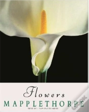Capa do artigo Robert Mapplethorpe Flowers (Hardback) /Anglais/Allemand
