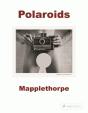 Robert Mapplethorpe - Preview