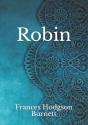 Robin - Preview