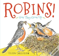 Capa do artigo Robins!