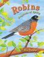 Robins - Preview