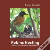 Capa do artigo Robins Nesting