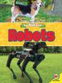 Robots - Preview