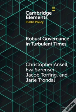 Capa do artigo Robust Governance In Turbulent Times
