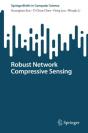 Robust Network Compressive Sensing - Preview