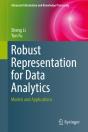 Robust Representation For Data Analytics - Preview