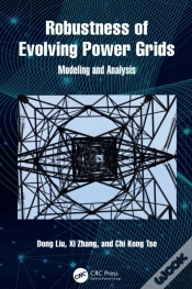 Capa do artigo Robustness Of Evolving Power Grids