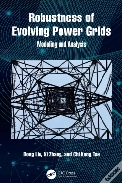 Capa do artigo Robustness Of Evolving Power Grids