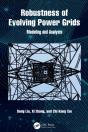 Robustness Of Evolving Power Grids - Preview