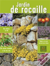 Capa do artigo Rocailles
