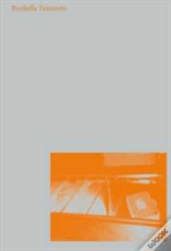 Capa do artigo Rochelle Feinstein