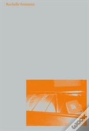 Capa do artigo Rochelle Feinstein