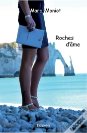 Capa do artigo Roches D