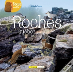 Capa do artigo Roches Du Québec