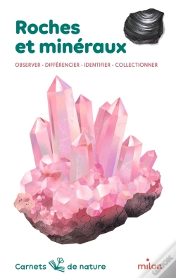 Capa do artigo Roches Et Minéraux : Observer, Différencier, Identifier, Collectionner