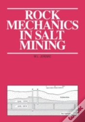 Capa do artigo Rock Mechanics In Salt Mining