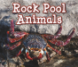 Rock Pool Animals - Preview