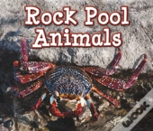 Rock Pool Animals