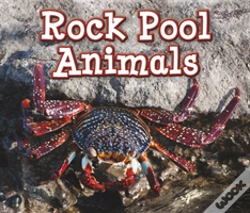 Capa do artigo Rock Pool Animals