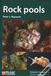 Capa do artigo Rock Pools