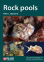 Rock Pools - Preview
