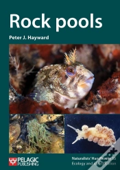 Capa do artigo Rock Pools