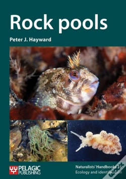 Capa do artigo Rock Pools