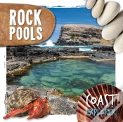 Capa do artigo Rock Pools