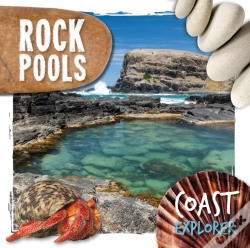 Capa do artigo Rock Pools