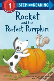 Capa do artigo Rocket And The Perfect Pumpkin